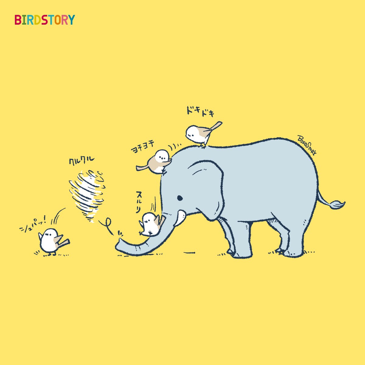 おはようございます。 本日は8月12日、世界ゾウの日とのことです🐘 #BIRDSTORY #ゾウ #シマエナガ