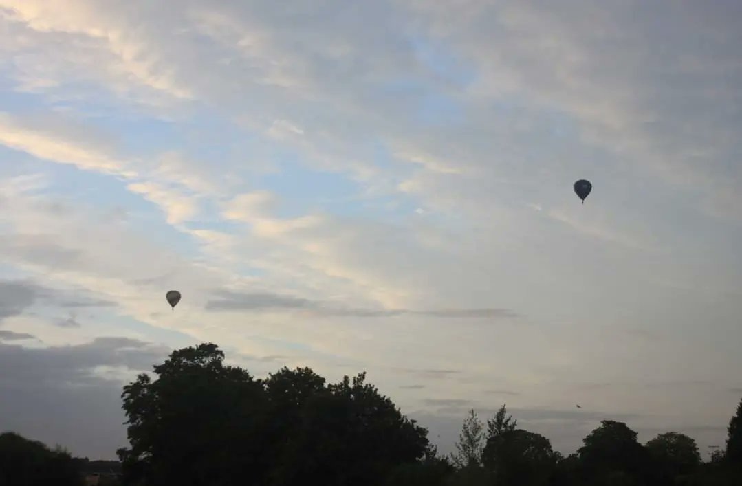 BSballoonpics's tweet photo. https://t.co/yIkncG7KFy