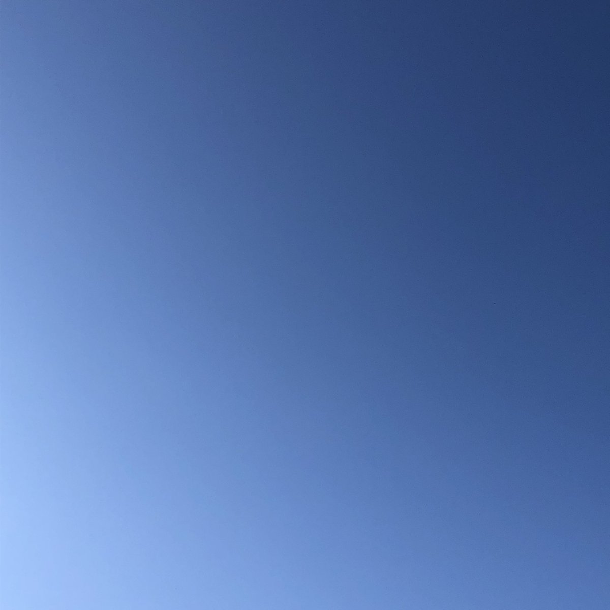 alpen_wetter's tweet image. Es gibt ihn ja doch noch !!

#bluesky #azur #waitingforperseides