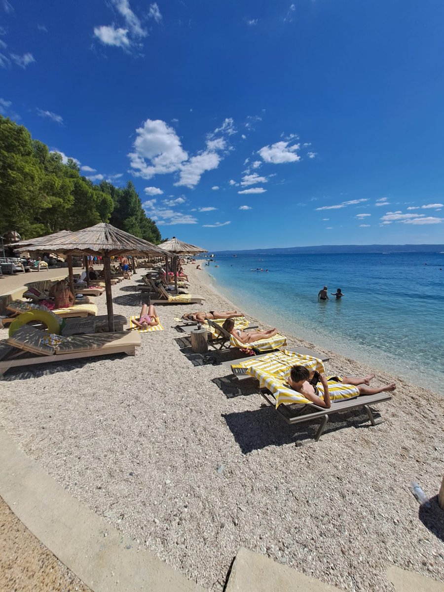 Rebecca Cook tweet media