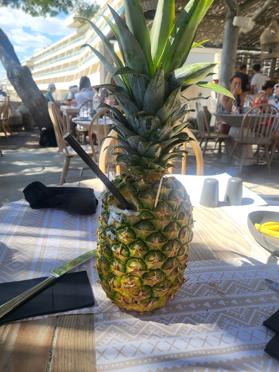 Rebecca Cook tweet media