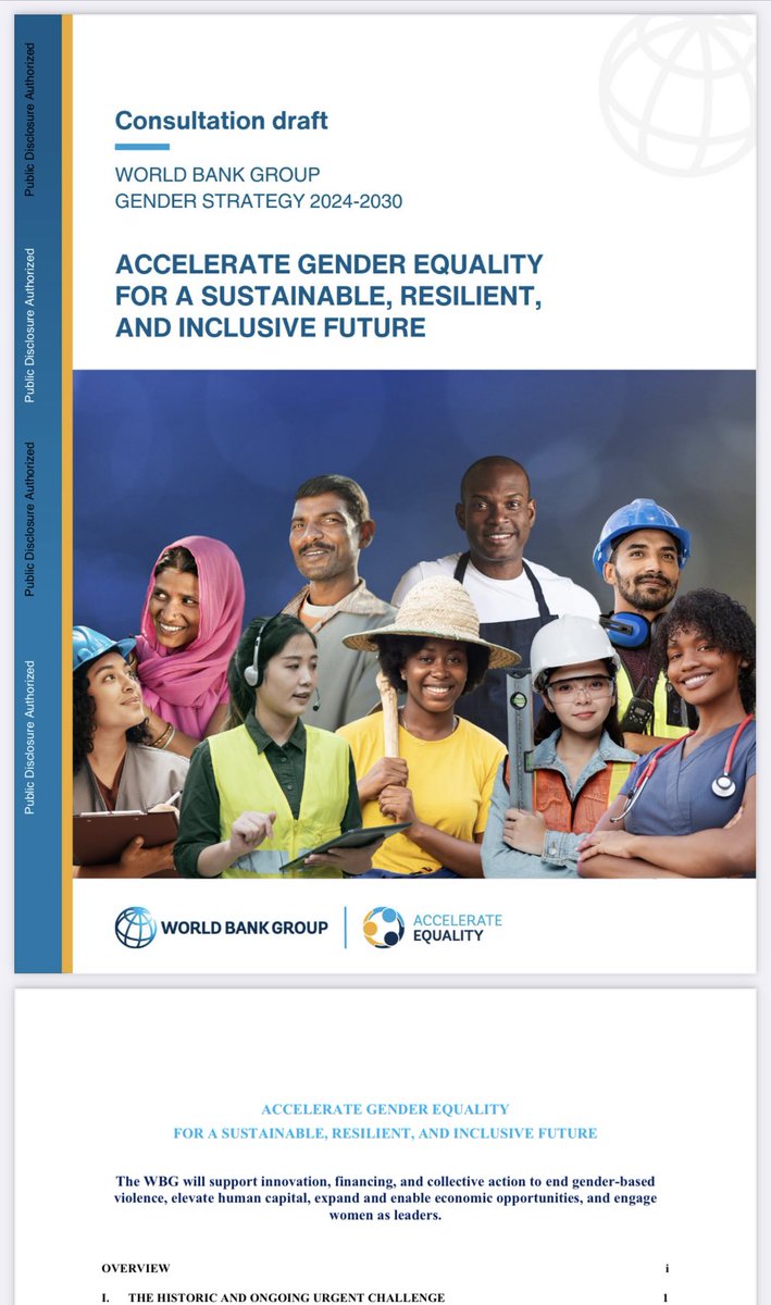 The World Bank has released the consultation draft of its new gender strategy documents1.worldbank.org/curated/en/099…
