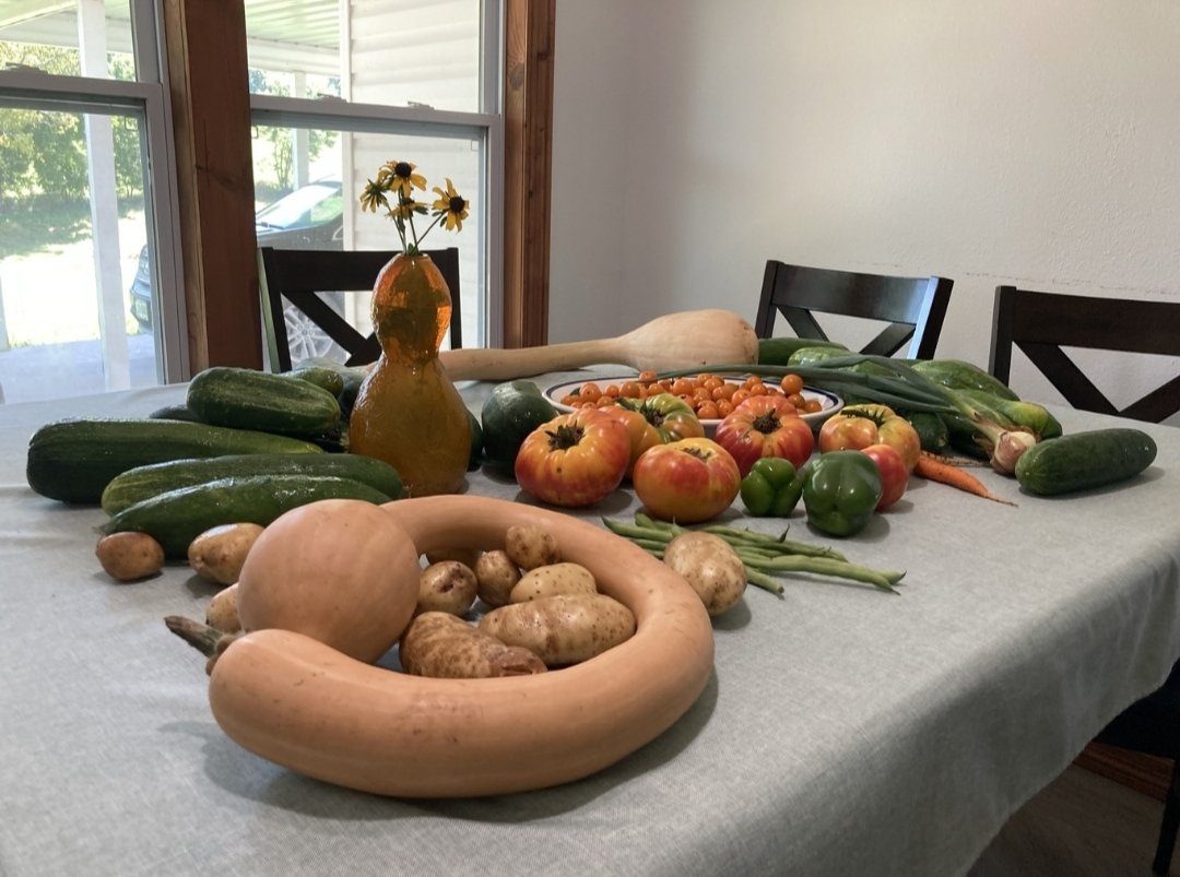 Seymour, MO
Golden Rule Bear

Quoted caption:
'Scarcity is a myth'

#Organic
#Vegetables
#RaisedBeds

#Gardening
#Homesteading
#Farming

#TheGreatBearTrail
#GreatBearTrail
#Beartaria
#BeartariaMissouri
#Unbearables
#Crushing