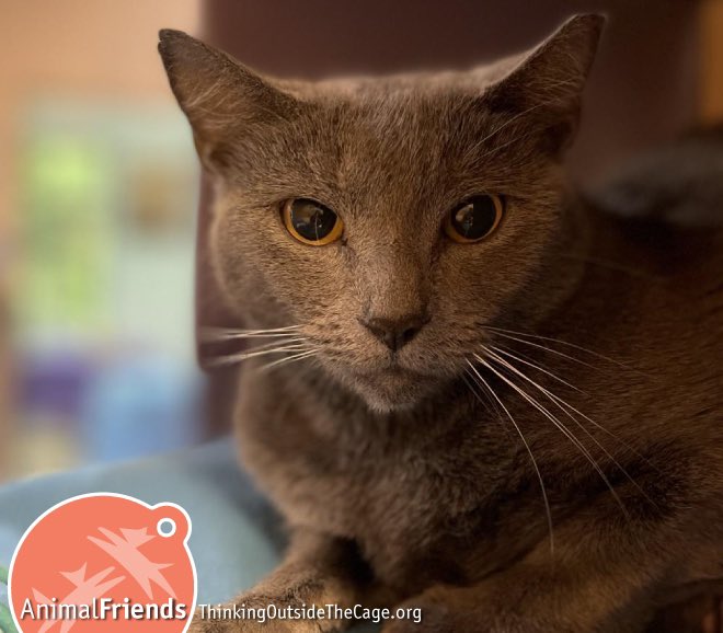 Cris Winter tweet media