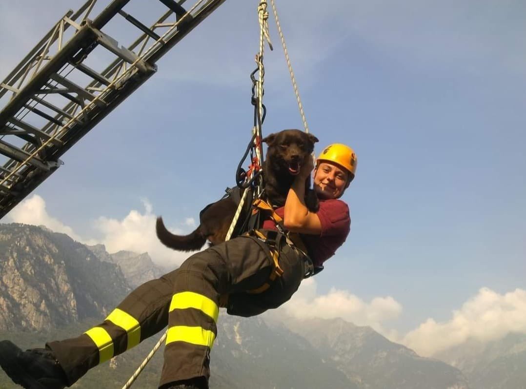 Vigili del Fuoco tweet media