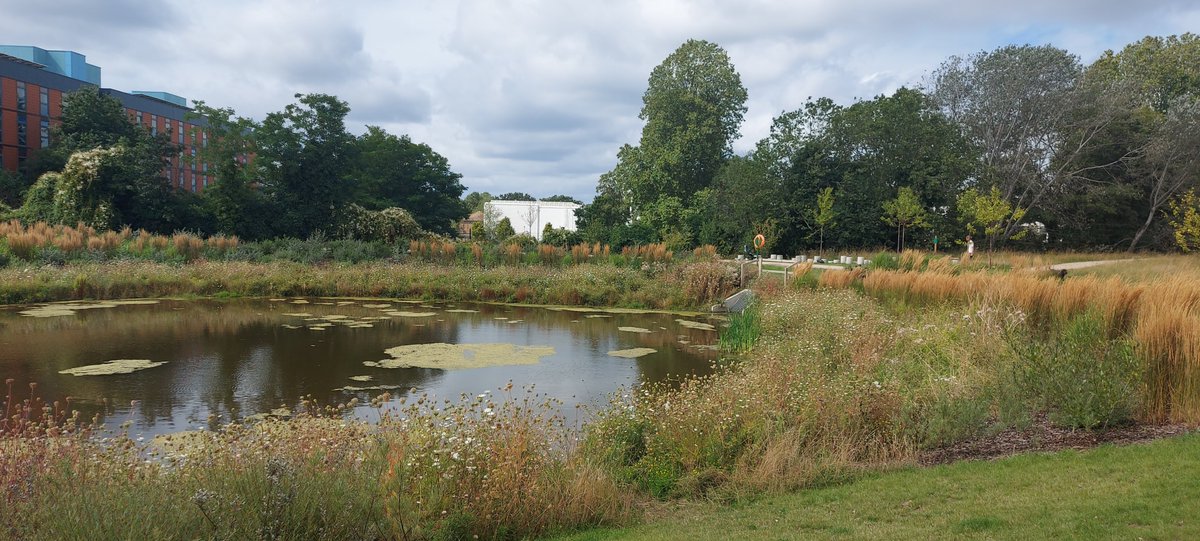 Discovered today - London’s first major new park since the 2012 London Olympics has opened in Tooting. Springfield Park (32-acres) includes ponds, playgrounds and expansive views. A great new open space to enjoy.