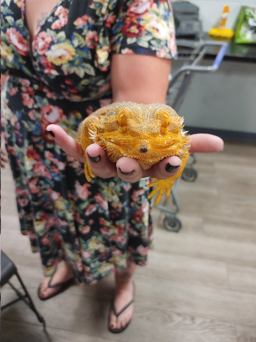 Lowe’s of Hillsborough 1656 tweet media