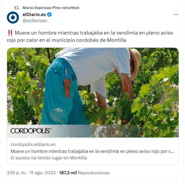 Ha muerto un trabajador de 58 años de la vendimia, supuestamente por un golpe de calor, en Córdoba. 

No muy lejos de allí, también hoy, se ha retrasado por calor un partido de fútbol de jóvenes deportistas de élite. 

Si no se puede jugar al fútbol, tampoco se puede vendimiar.