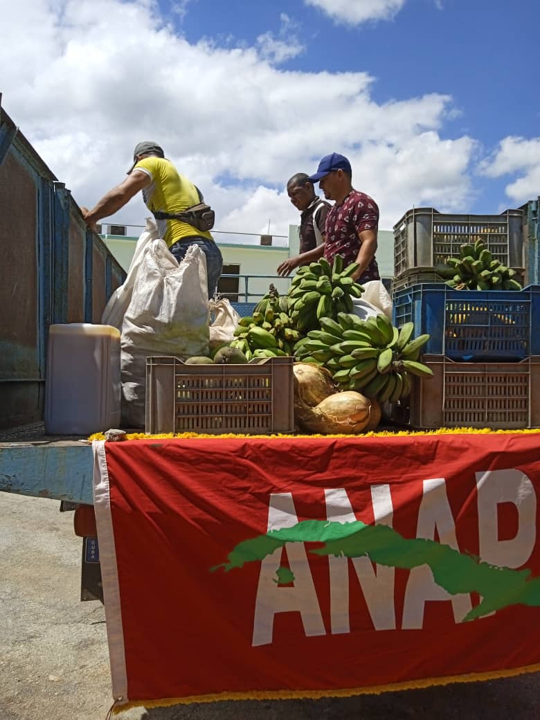 Colina_CTCuba's tweet photo. Campesinos de Villa Clara realizan donativos y ferias de productos agropecuarios en todos los Hospitales en saludo al 97 cumpleaños de #FidelPorSiempre
#JuntosPorVillaClara
#Cuba https://t.co/bXWfPm70Ya