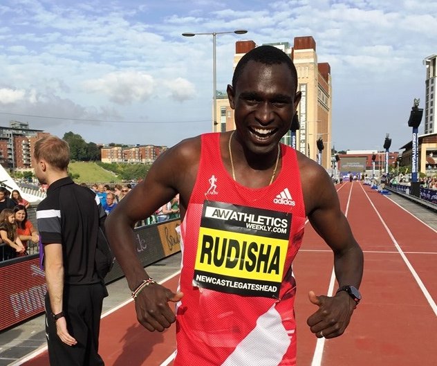 David Monti 🥑 tweet media