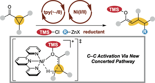 Weix Group (@weixgroup) on Twitter photo Our paper on LigandāMetal Cooperation Enabling Net Ring-Opening CāC Activation/Difunctionalization of Cyclopropyl Ketones is now online at <a href="/ACSCatalysis/">ACS Catalysis</a>! Congrats to Michael, Victoria, Anthony, and our collaborators in the Berry Lab! Check it out doi.org/10.1021/acscat⦠Our paper on LigandāMetal Cooperation Enabling Net Ring-Opening CāC Activation/Difunctionalization of Cyclopropyl Ketones is now online at <a href="/ACSCatalysis/">ACS Catalysis</a>! Congrats to Michael, Victoria, Anthony, and our collaborators in the Berry Lab! Check it out doi.org/10.1021/acscatā¦