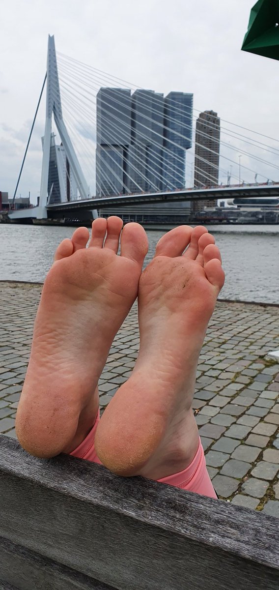 NLSolesexpert's tweet photo. Beautiful Female Soft and Rough Bare Soles at the Dutch landmark The Erasmus Bridge

Size 39eu

#erasmusbrug #rottterdam #openrotterdam #dutch #feetcontent #feetfinder #feetpic #blotevoeten #FOOTFETİSH #voetfetish #soles #feet_lover https://t.co/6OSq3nTofV