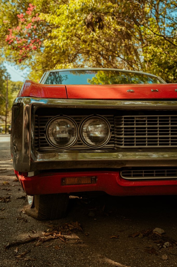 Around the neighborhood 🏡 #x100v