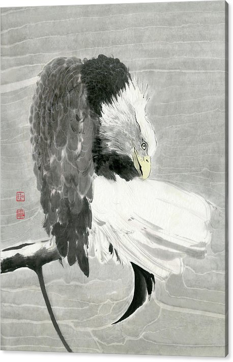 Bald Eagle Preening Feathers

View full collection of my eagle paintings here: river-han.pixels.com/art/eagle

Created with Chinese brush and ink

#Eagle