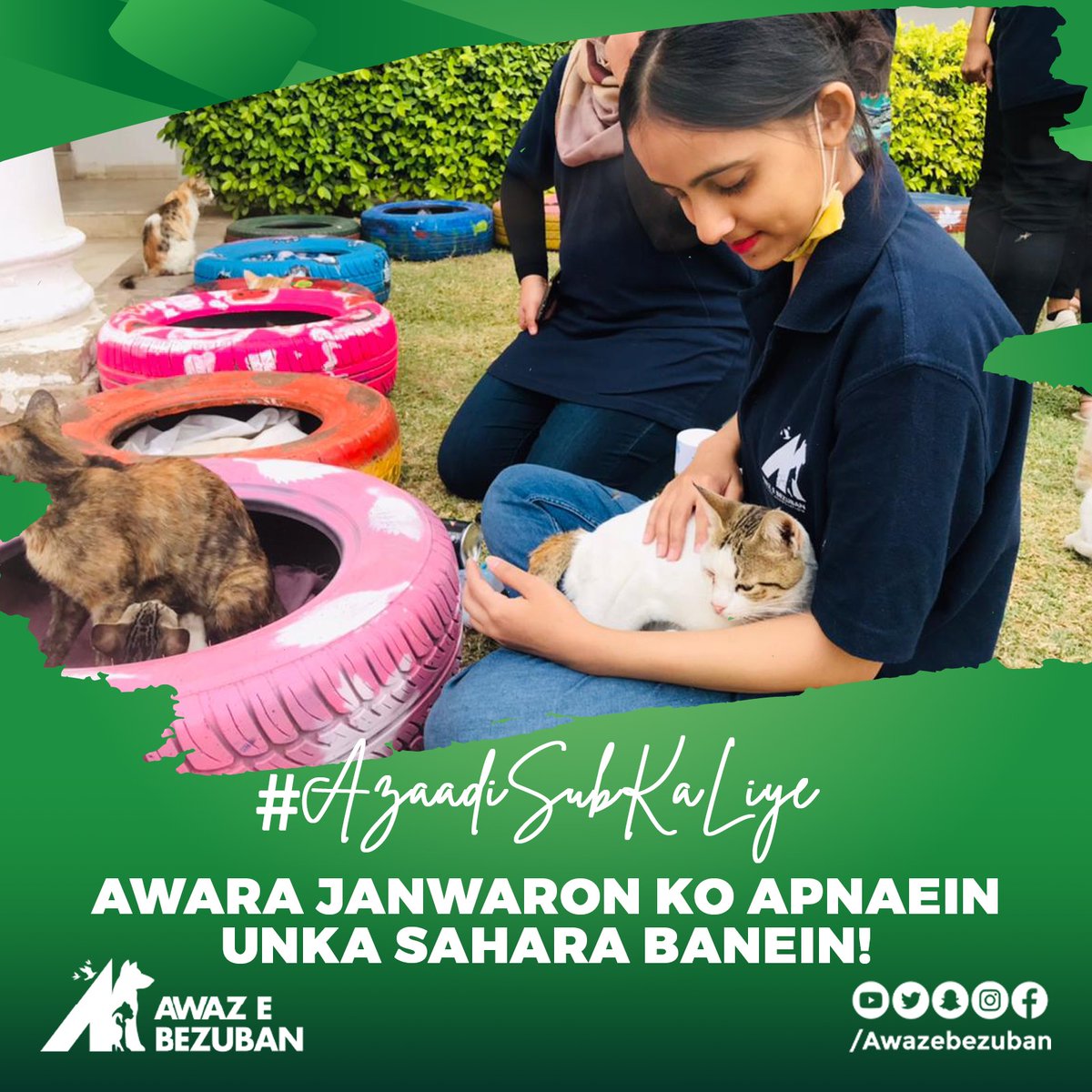 From Stray to Family 🐱 
Choose to Adopt for Freedom! Embrace the joy of transforming an abandoned stray into a beloved member of your family. This Independence Day, let's make a difference by giving these furry friends a forever home full of love and care. 💕🏡

#adoptdontshop