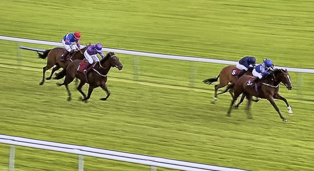 amajox's tweet photo. Congratulations @amajox #SophieSmith WINS again for @EdDunlopRacing #LennysSpirit @haydockraces #greatpartnership #madeall #5ran #topride #topjock πππππWell done Sophie! π https://t.co/RZjCXi9br0