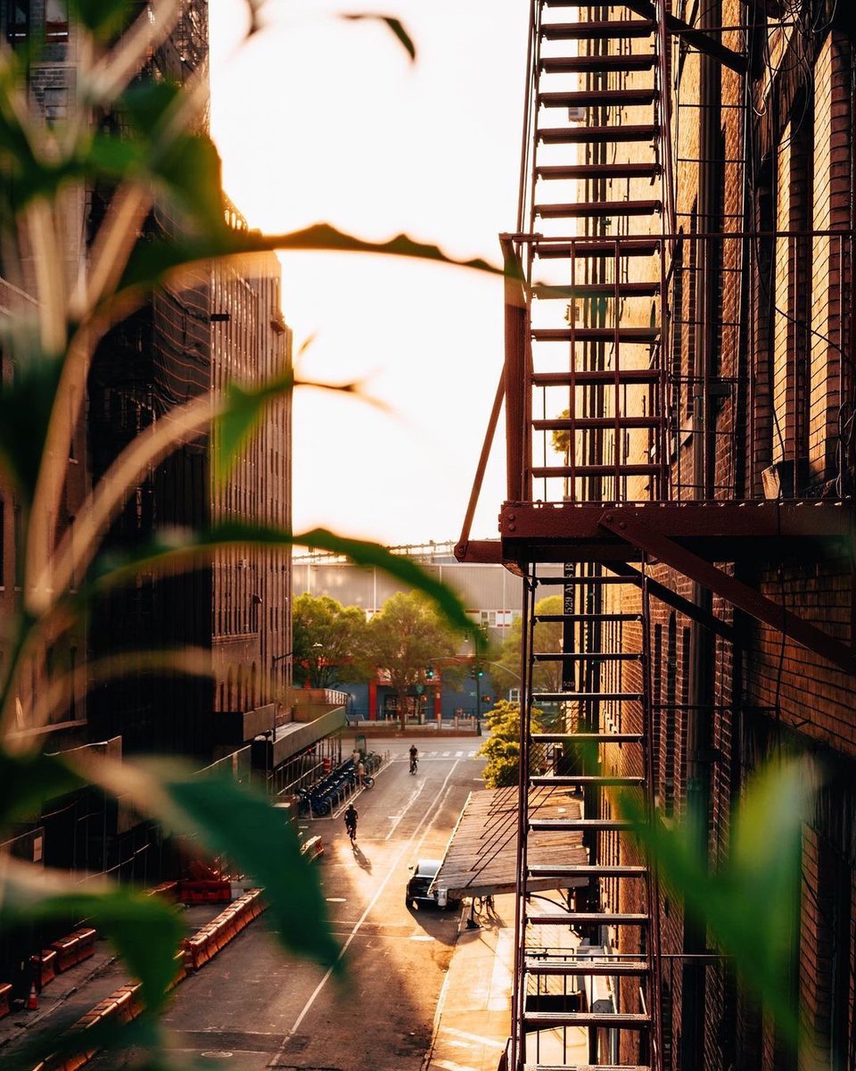 Downtown New York in summer glow: where skyscrapers meet sunbeams. 🌞

Captured through the lens of @joethommas