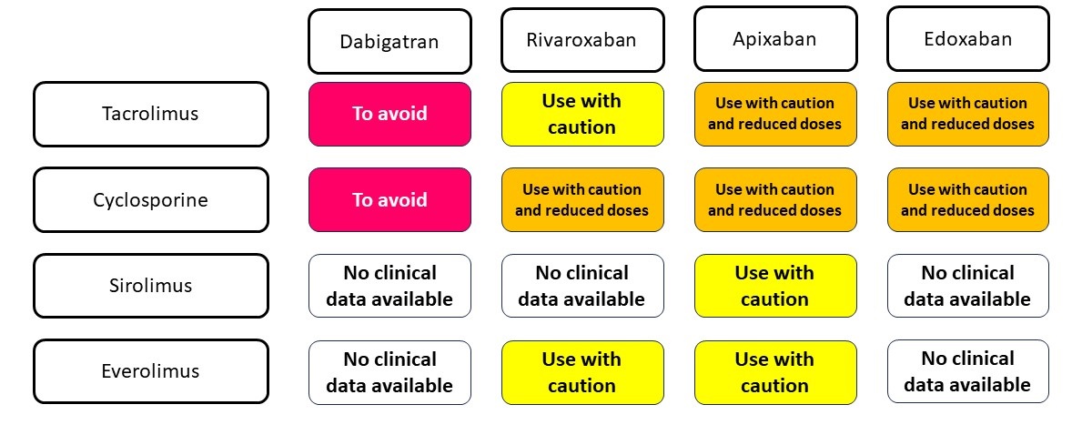 FraSantoroMD's tweet photo. 🎯Can we use DOACS for #AFib in kidney transplant recipients treated with immunosuppressive therapy❓
Check our data from a great collaboration with italian nefrologists 🫀 🧠! Today Pubblished in @EJIM_journal
👉 https://t.co/pHymhX0XTD
#CardioTwitter #eppeps #kidney https://t.co/jRh61xCKox