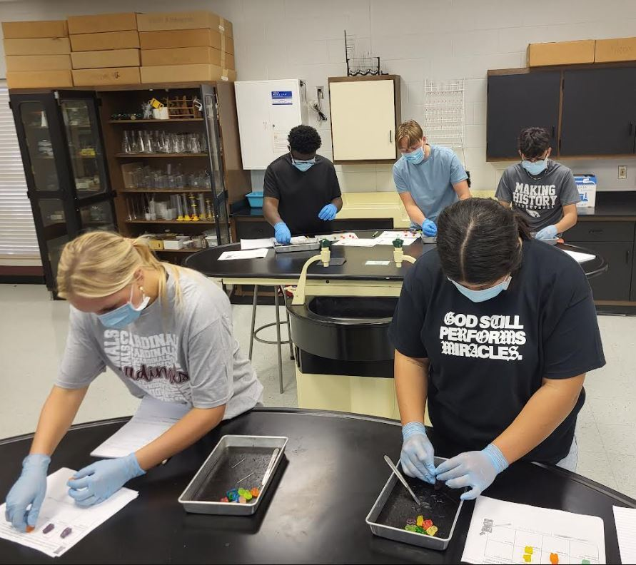 Coach Bishop's Anatomy and Physiology class completed their first lab today by performing surgical cuts on patient's (gummy bears). These seniors did a great job! #MaudTXISD #Back2Basics