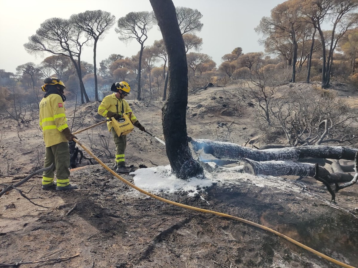 EMA INFOCA tweet media