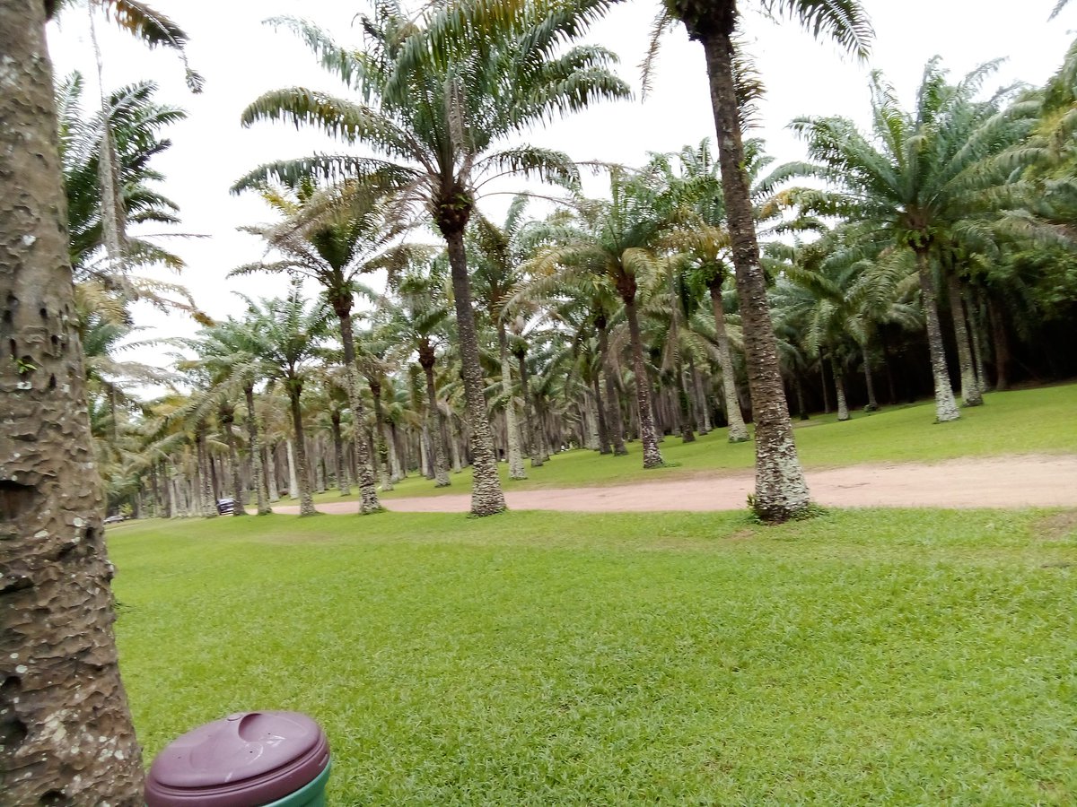 dedegnim's tweet image. Respecting the environment means respecting our well-being and bequeathing a healthy environment to the future generation.
  A resolution today, let&apos;s #respect our #Environment.