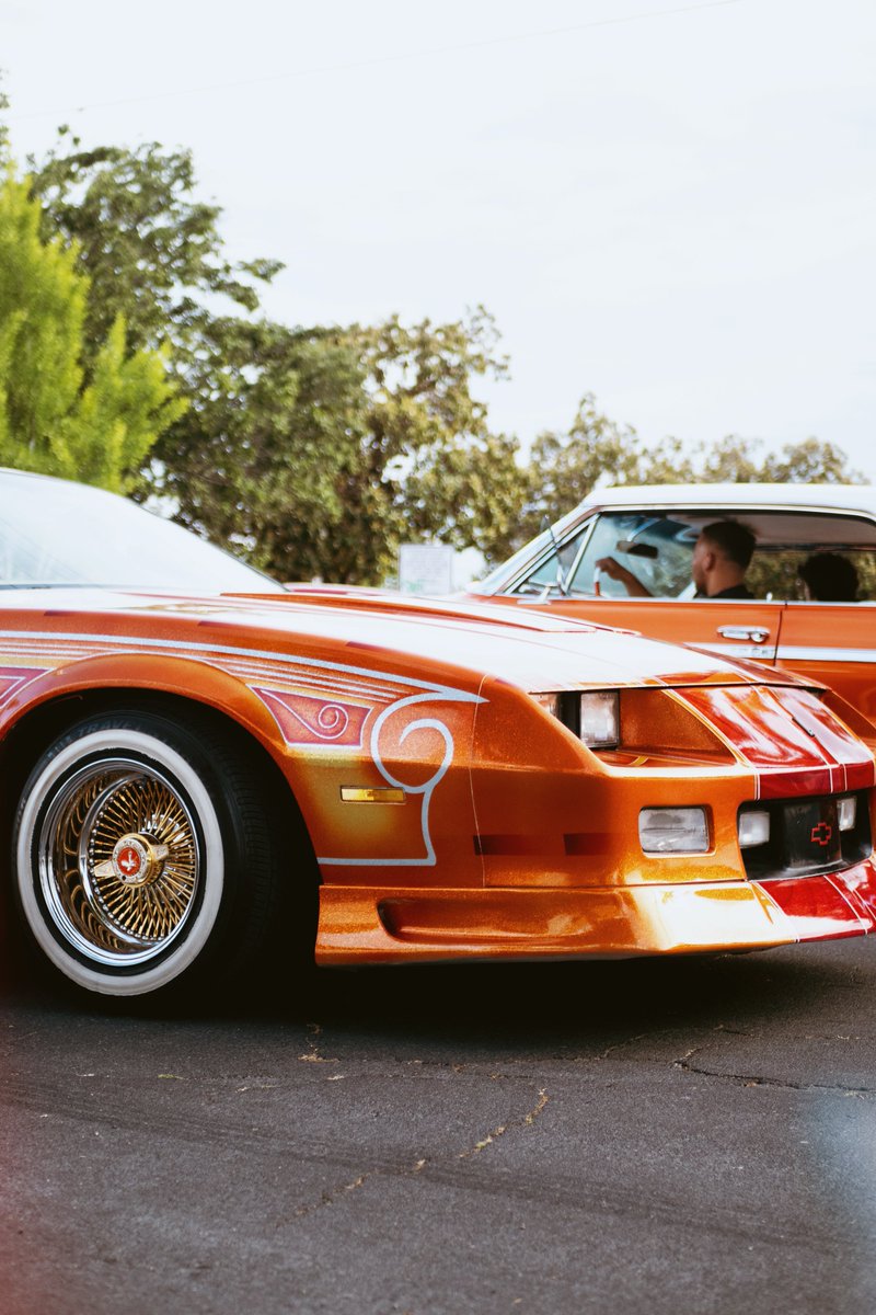 alexviisuals's tweet photo. stuntin is a habit. 🍊 https://t.co/Ltj5TyRyDl