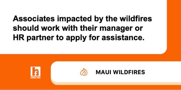 The Homer Fund tweet media