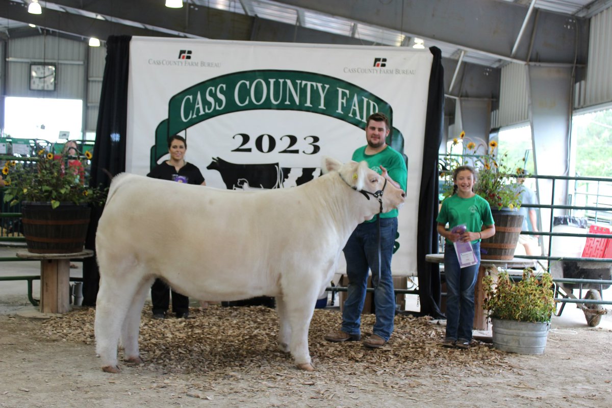 cassfair's tweet photo. Champion Steer 
Shown by Kole Albert https://t.co/RVo8wmimkz