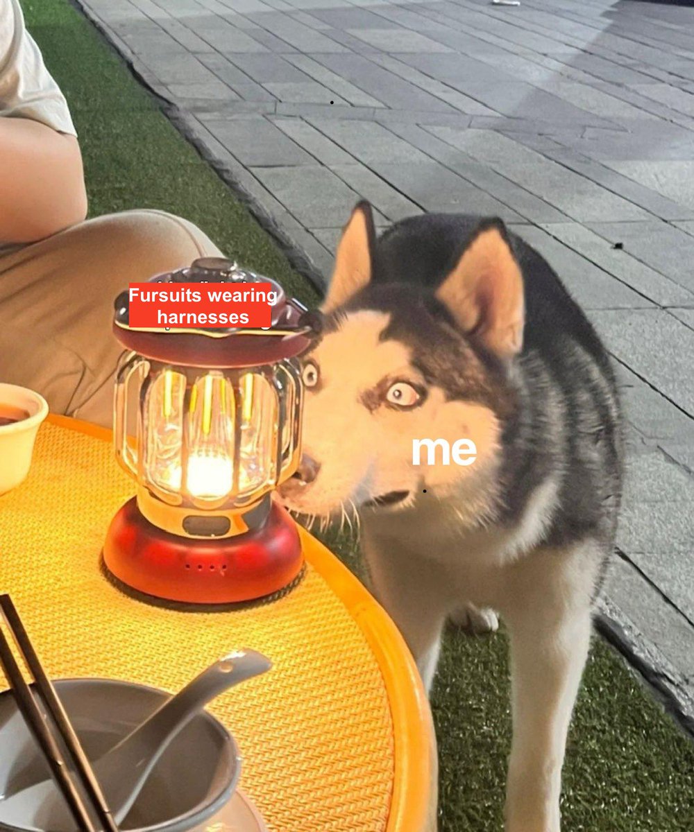 Calling everyone out 😤