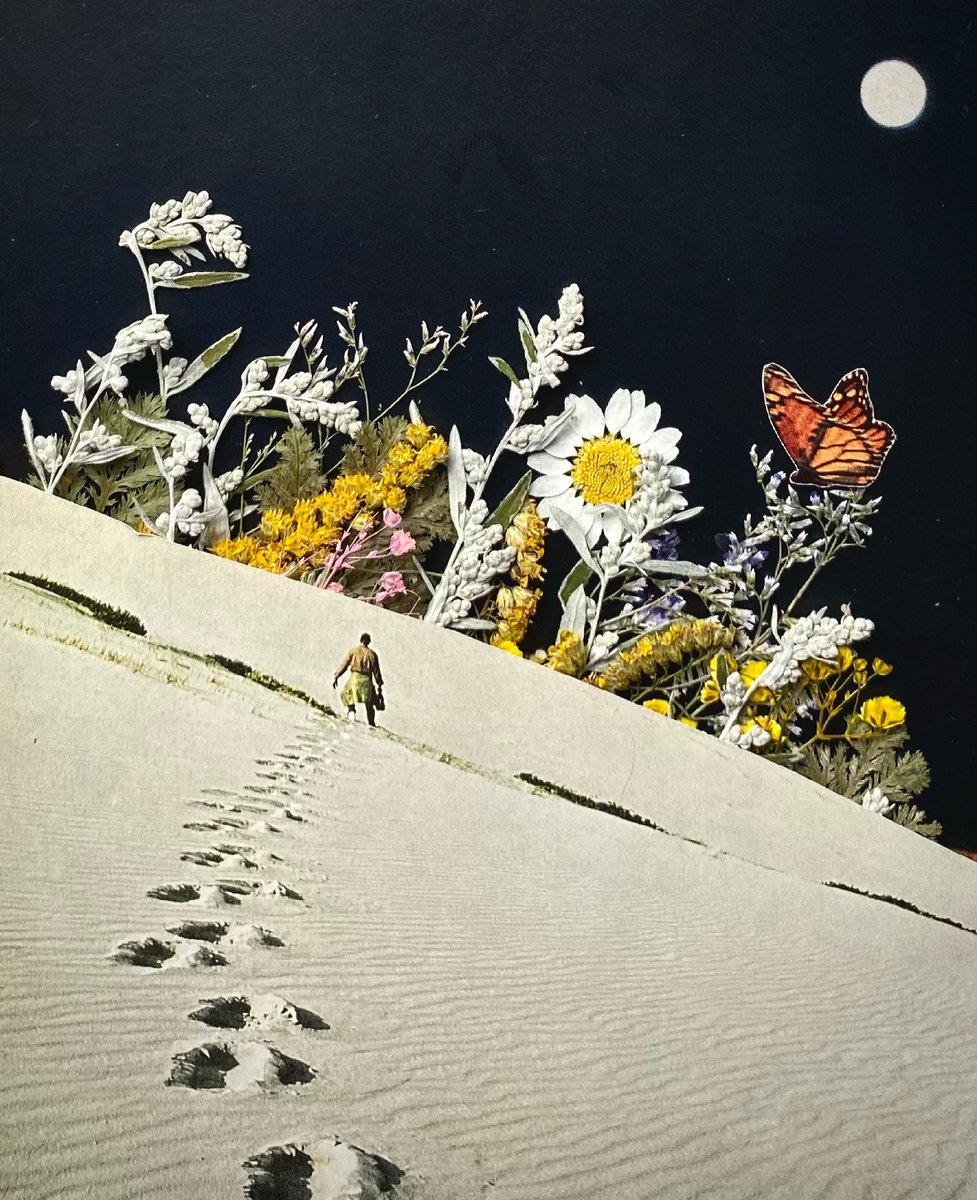 PhibDoesThis's tweet photo. Collage &amp; pressed flowers https://t.co/c9UJweXvu8