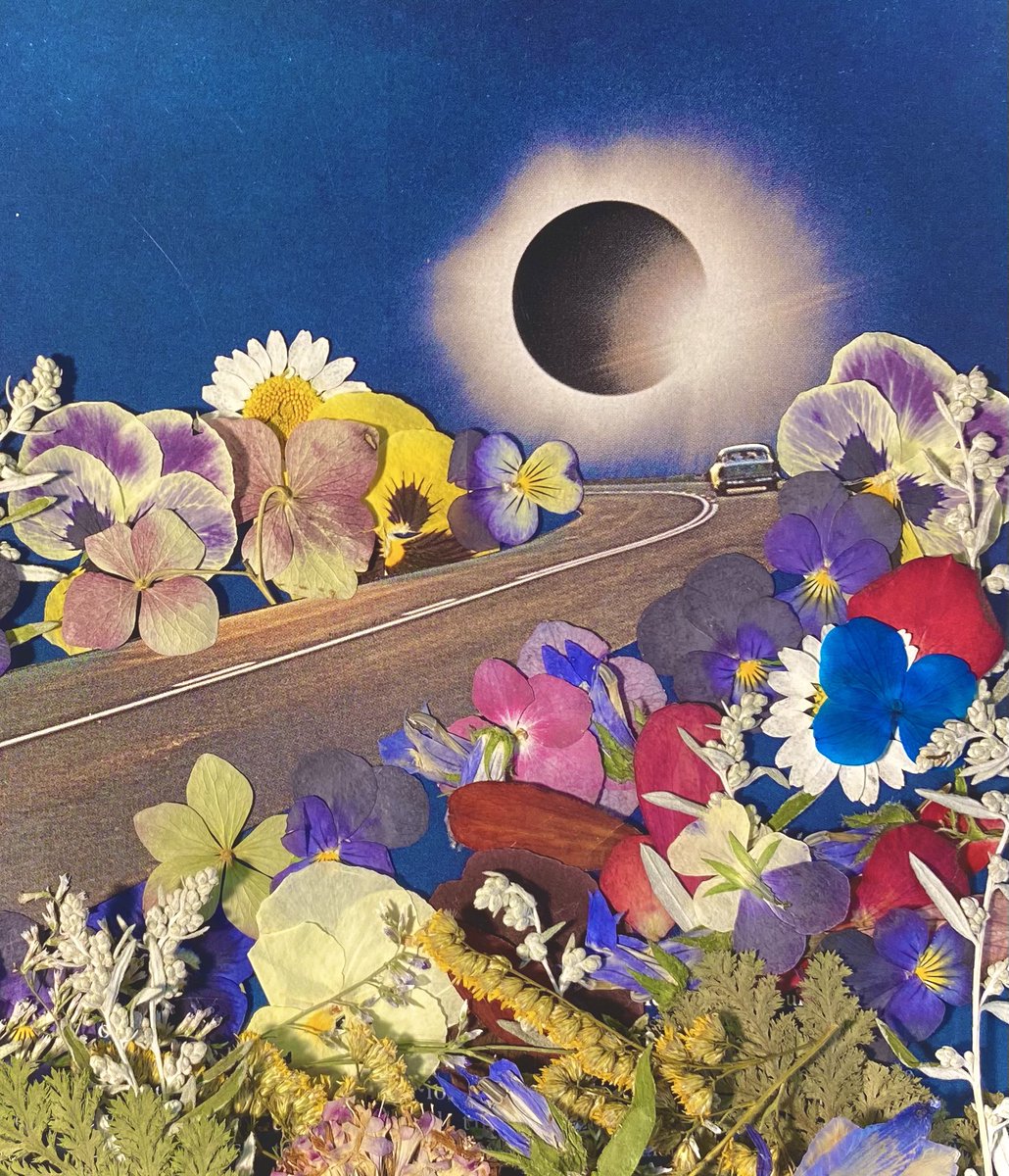 PhibDoesThis's tweet photo. Collage &amp; pressed flowers https://t.co/c9UJweXvu8