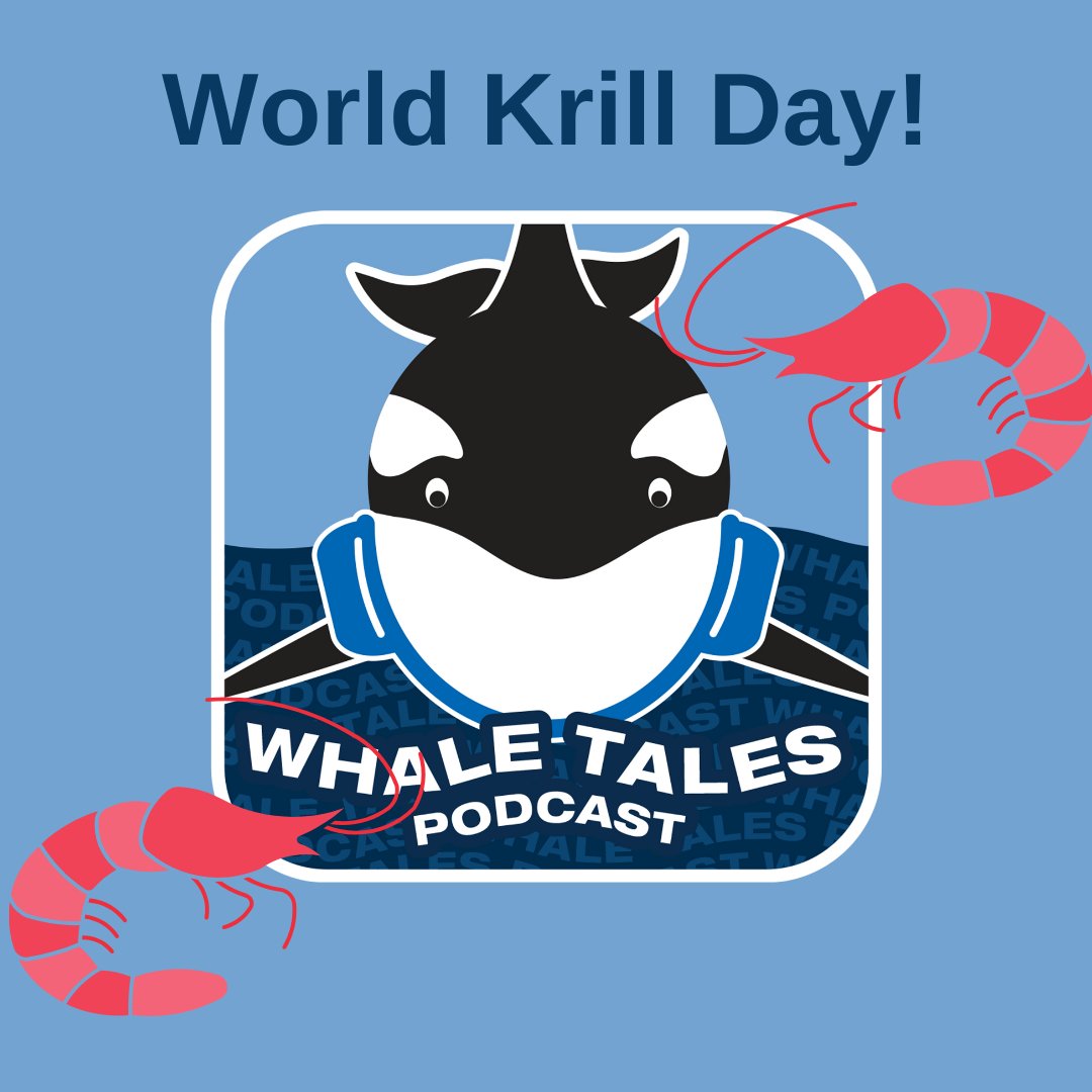 Exciting podcast alert! Today is #WorldKrillDay and to celebrate the #WhaleTalesPodcast released a special episode featuring amazing guests to teach us all about krill and the issues they are facing (and how you can help!)🦐 
buff.ly/45n9haG
#WhaleTales