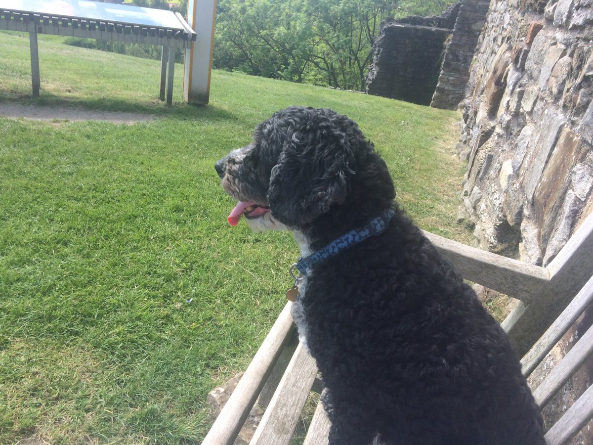 Charles Cracknell tweet media