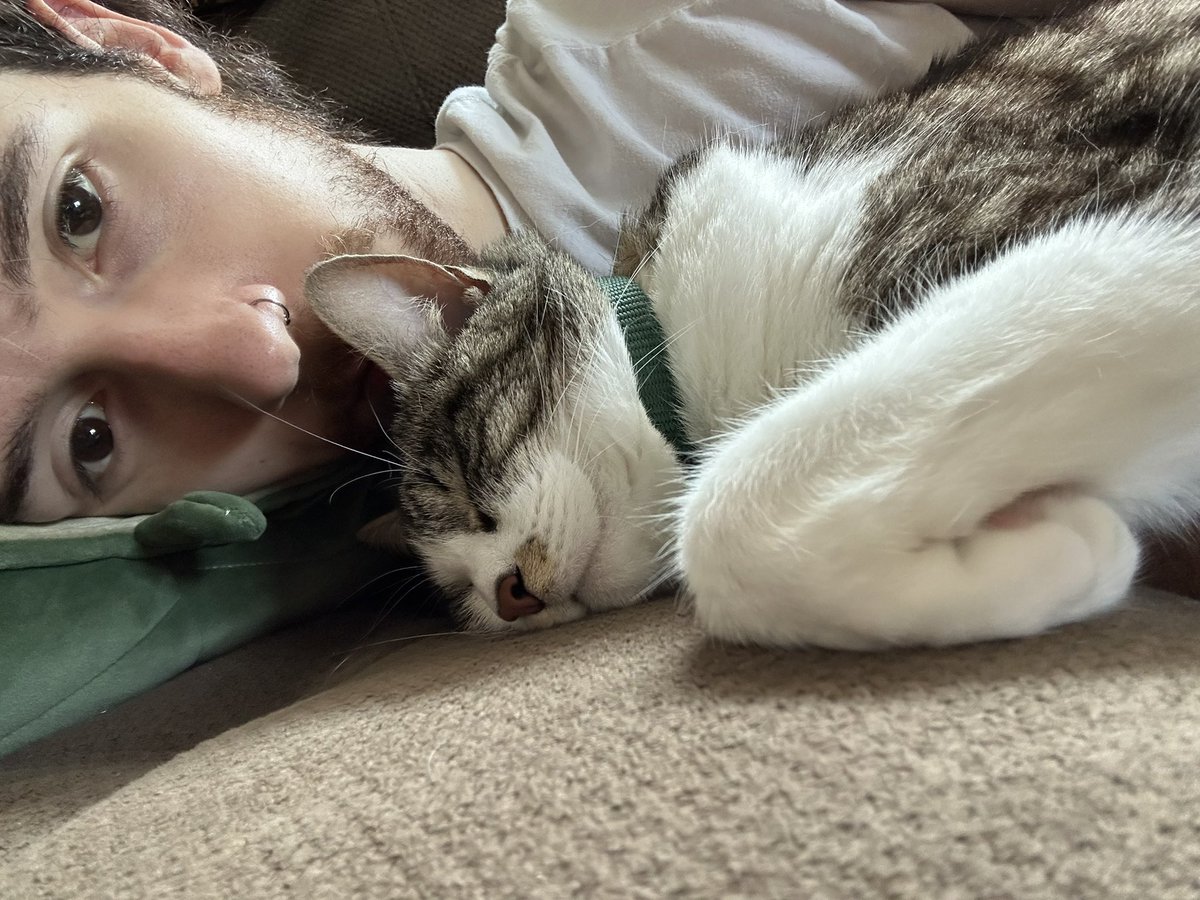 Optimistic_Hold's tweet photo. new favorite hobby: poppy naps https://t.co/DEGGNCqWdm