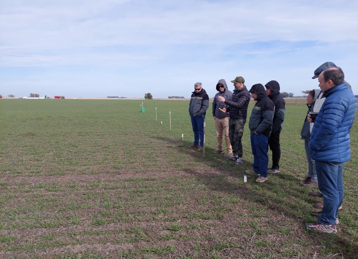 Otra fresca, ventosa pero muy productiva mañana con la gente de <a href="/AgroBayerAR/">Agro Bayer</a> recorriendo ensayos de #MatenoPlus en San Cayetano. 
Me da mucho gusto escuchar al gran <a href="/Rolobidegain/">Rolo</a>, un distinto que además sabe mucho de cocina 🧑‍🍳 (en hilo muestro imágenes 🫣