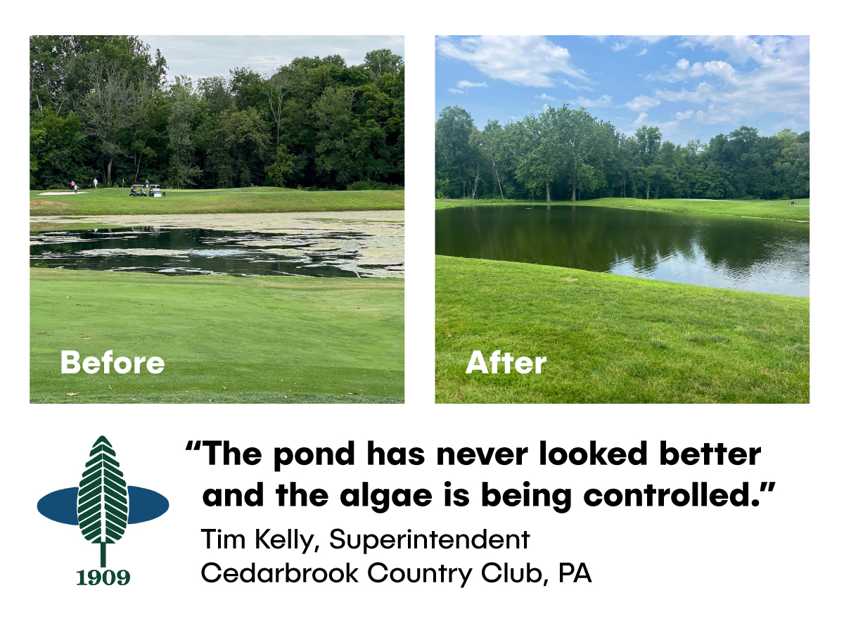 BioBoostNest's tweet image. Thank you to Golf Course Superintendent Tim Kelly at Cedarbrook Country Club @greens_cc  for sharing your success story with us! We&apos;re delighted to see the beautiful results.

&quot;I had a very difficult time managing algae in our irrigation pond since 2019 with the goal of…