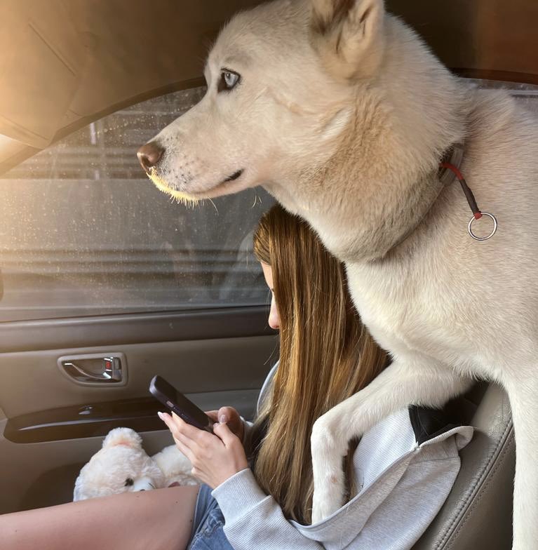 -Ne bakıyon bilader o benim kizim😎
