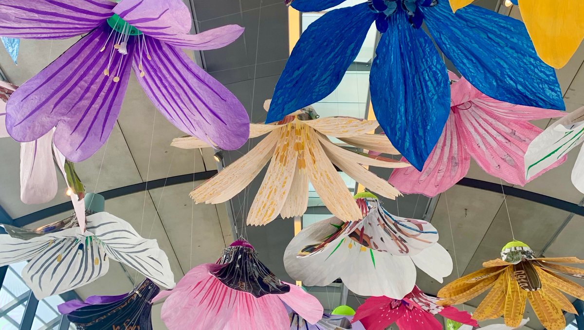 Join us in Gallery 2 on Sat 19 August 2023, 10am. Artist Ruth Moillet will introduce you to the works and ideas in her new exhibition Devotions to the Goddess Flora. This is part of a partner event with #SPARK14. 

#gallerytalk #OldhamHour #oldham #LoveOldham #talk #gmcr #artist