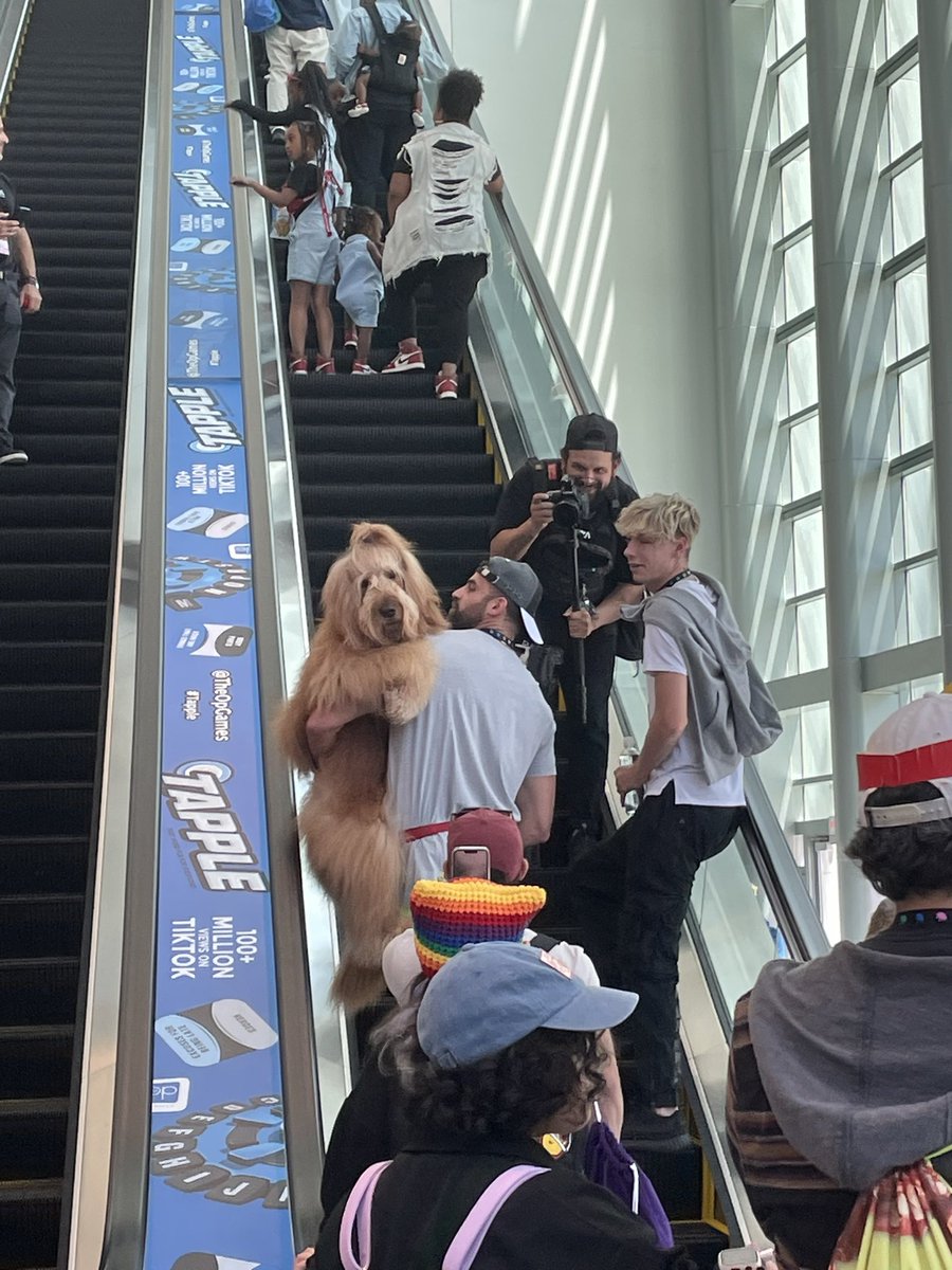 Frostbbbite's tweet photo. @VidCon AGH I MISS IT
Worried I won’t have the money for 3 years in a row ;-; https://t.co/Bf3b459CIp