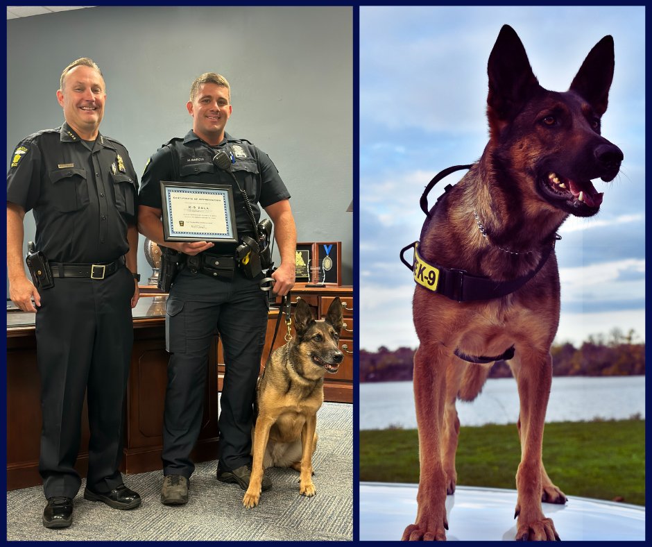 Congratulations to K9 Zola, who retired after 7 years of serving Toledo. Zola was deployed over 1,400 times and assisted with over 350 arrests. Zola will retire to the home of her partner, Officer Garcia. We wish Zola a long and happy retirement with unlimited belly rubs.