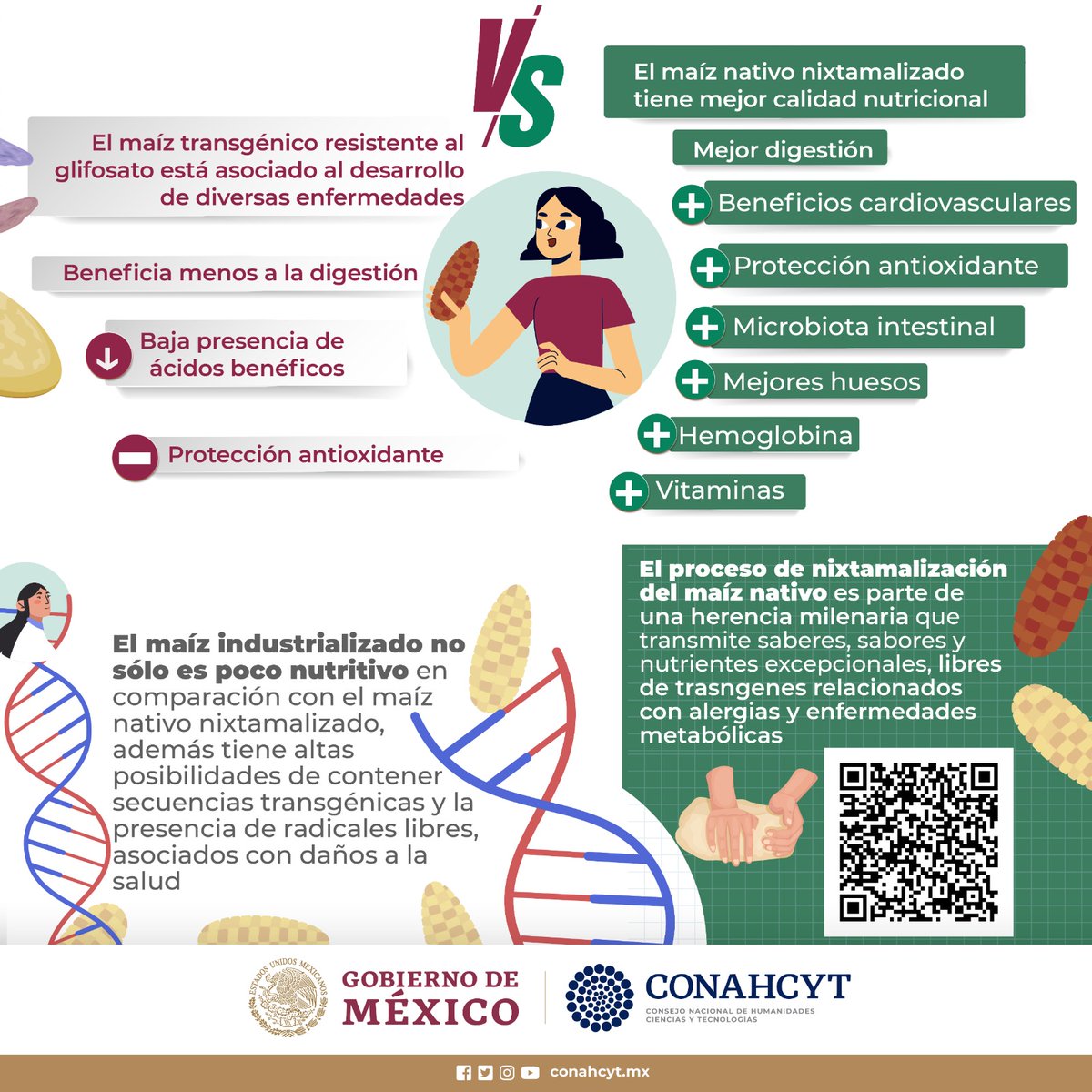 ElenaBuylla's tweet photo. Las tortillas tradicionales tienen una calidad nutricional superior, así como, benefecios para la salud, en comparación con las tortillas industrializadas. Aquí les comparto los datos que lo demuestran:
➡️1/6 https://t.co/ZOEnDyJrq9
