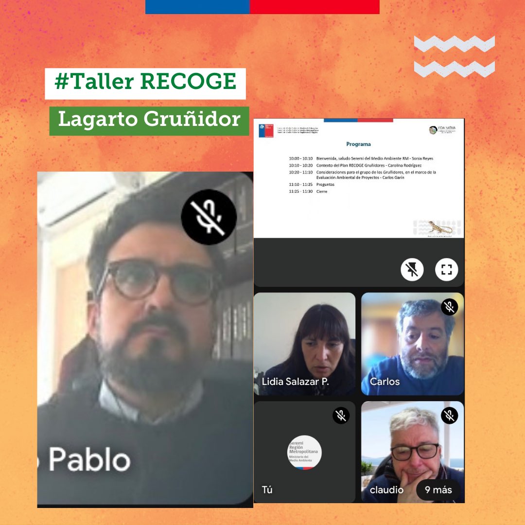 MMAMetropolitan's tweet photo. #RECOGE | Inserto en el Plan #RECOGE de los #LagartosGruñidores implementado en la V, RM y VI regiones, el Area de #RRNN de @MMAMetropolitan realizó un Taller sobre las
consideraciones q deben tomarse en cuenta en las evaluaciones a proyectos que ingresan al #SEIA https://t.co/cwartjtGND