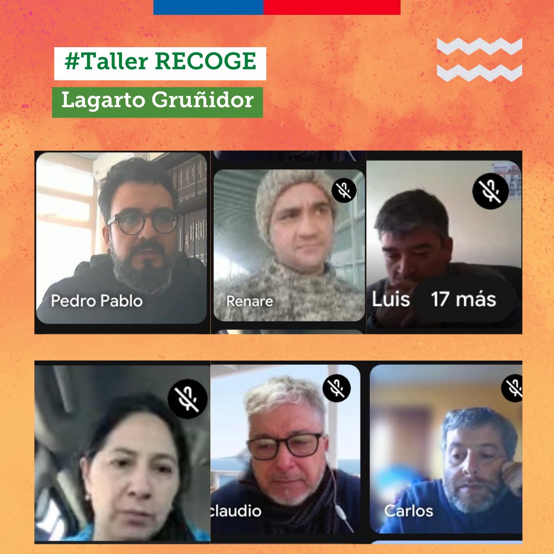 MMAMetropolitan's tweet photo. #RECOGE | Inserto en el Plan #RECOGE de los #LagartosGruñidores implementado en la V, RM y VI regiones, el Area de #RRNN de @MMAMetropolitan realizó un Taller sobre las
consideraciones q deben tomarse en cuenta en las evaluaciones a proyectos que ingresan al #SEIA https://t.co/cwartjtGND