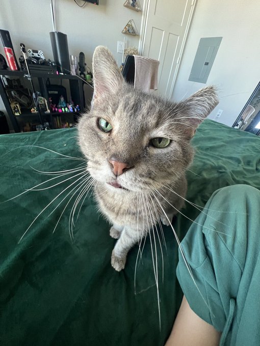 Got any games on your phone? https://t.co/QugA1mWNXE<a href="/tag/starwars"class="tags"><span>#starwars</span></a><a href="/tag/reyskywalker"class="tags"><span>#reyskywalker</span></a>