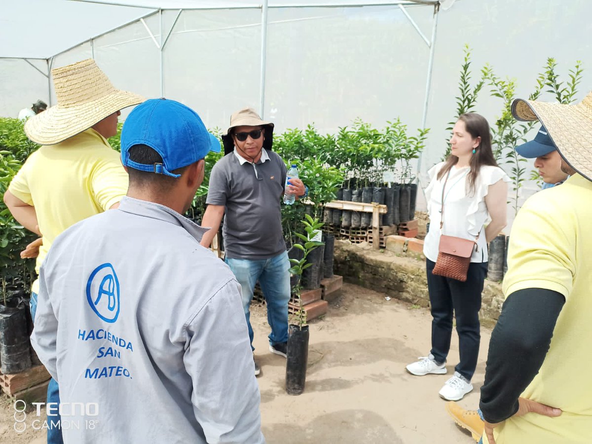 JavierAArroyoM's tweet photo. Uno de los métodos para prevenir enfermedades como HLB, VTC, CVC, Raquexia, entre otras, es adquirir plantas de cítricos en viveros registrados ante @ICACOLOMBIA, que cumplan la resolución 12816 de 2019 y que estén usando material certificado de @SomosAGROSAVIA.
#PrevenirEsClave https://t.co/Kbk9cpG6u4