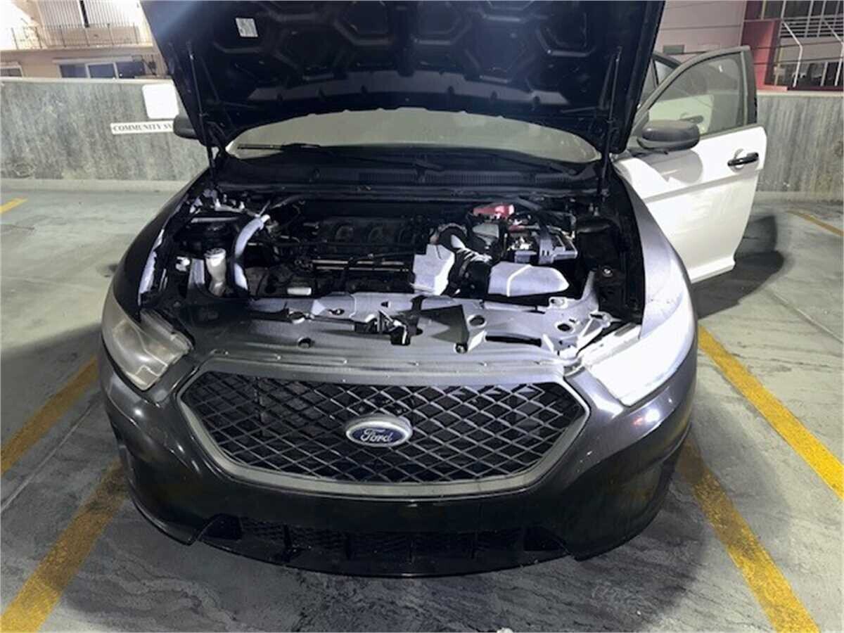 municibid's tweet image. Just under 95k miles! Don't miss out on the 2013 Ford Taurus.  🚓🔒mbid.us/47qm4uO
✅3.5L V6 engine
📍Bay Harbor Islands, FL 

#FordTaurus#cars#policecar#giftidea#birthdaygift#sedan#ford#taurus#police#policeinterceptor#policecar#cars#forsale#auction