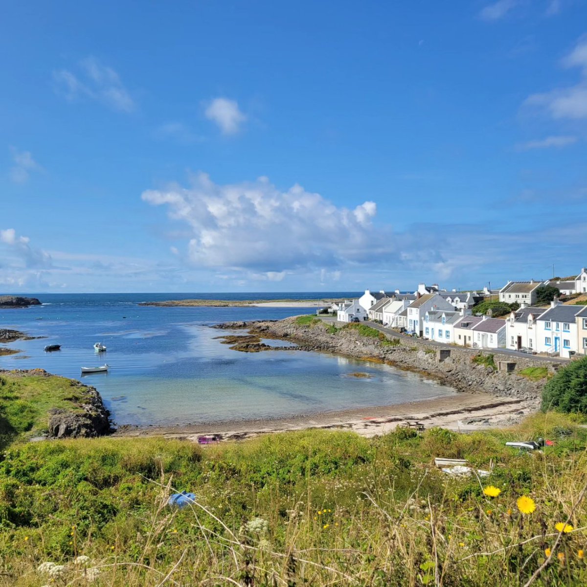 Scott Coutts tweet media