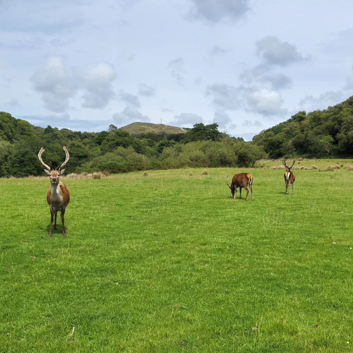 Scott Coutts tweet media