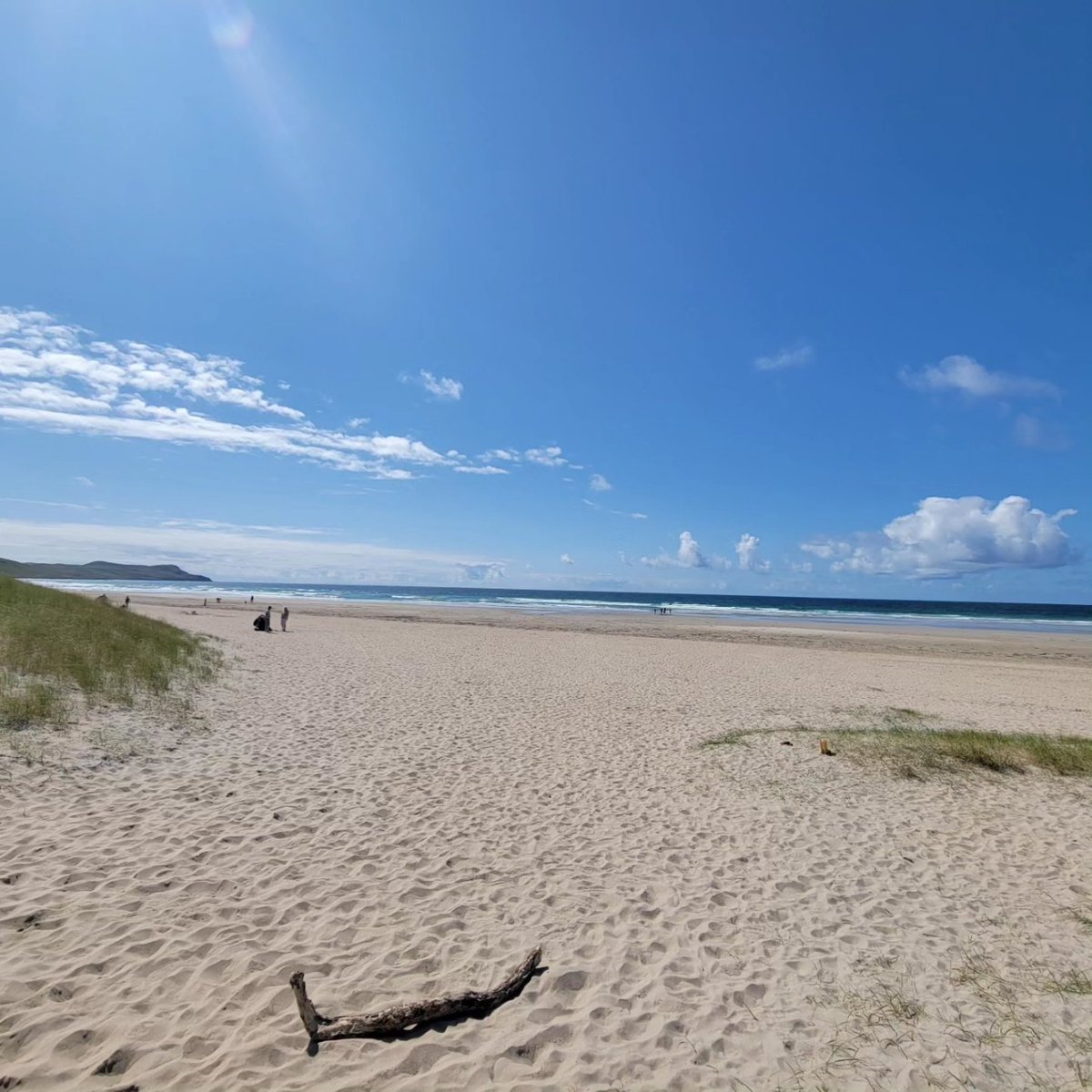 Scott Coutts tweet media