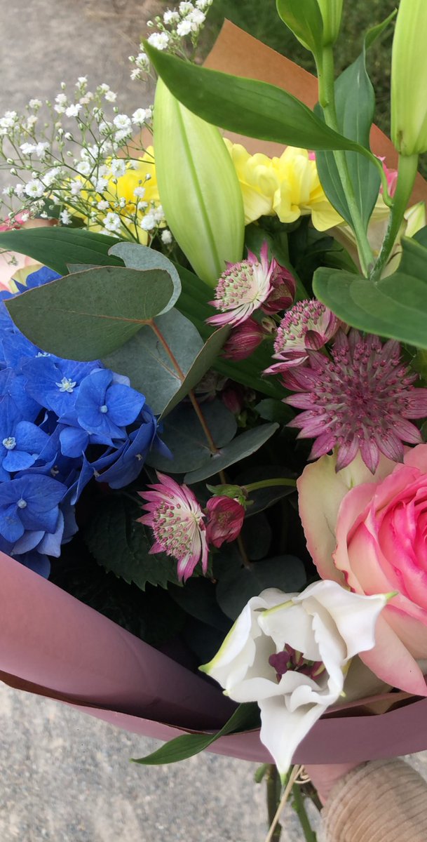 AnaThibaud's tweet photo. Million Flowerz https://t.co/UL9VRW7r1T